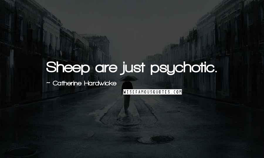 Catherine Hardwicke Quotes: Sheep are just psychotic.