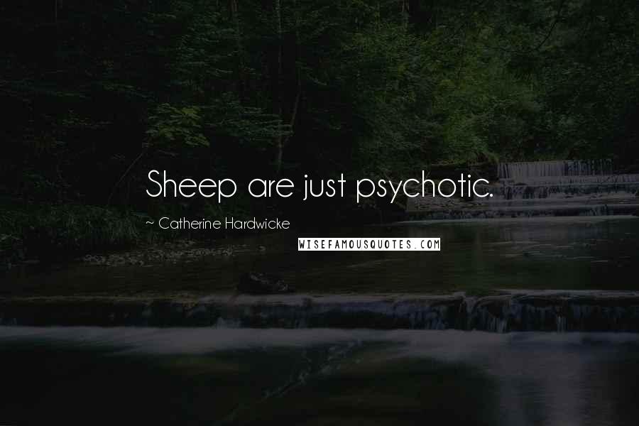 Catherine Hardwicke Quotes: Sheep are just psychotic.