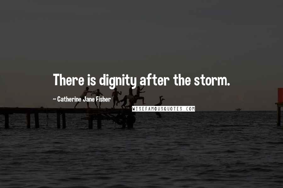 Catherine Jane Fisher Quotes: There is dignity after the storm.