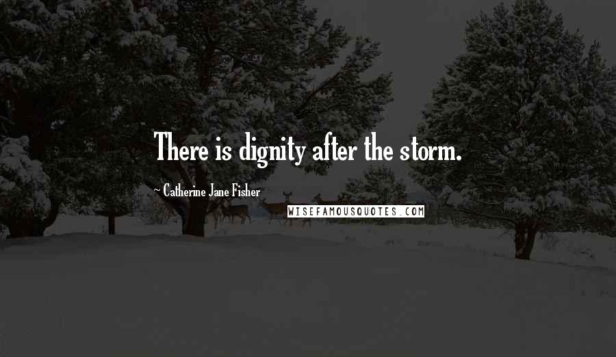 Catherine Jane Fisher Quotes: There is dignity after the storm.