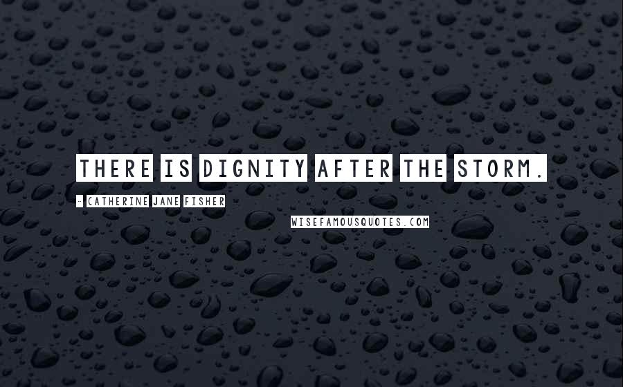 Catherine Jane Fisher Quotes: There is dignity after the storm.