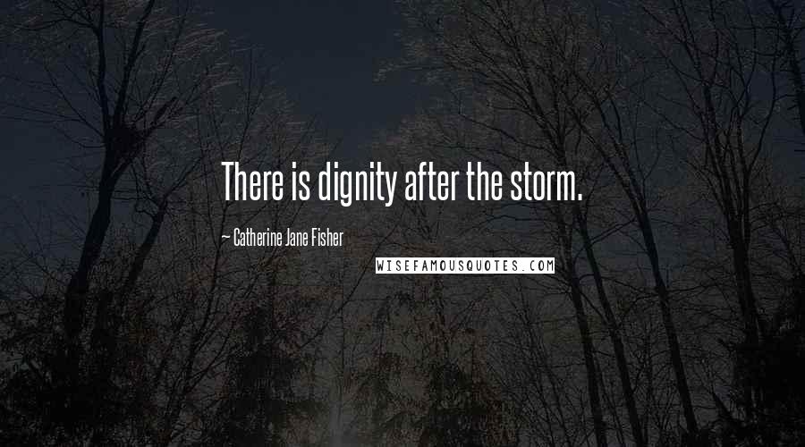 Catherine Jane Fisher Quotes: There is dignity after the storm.