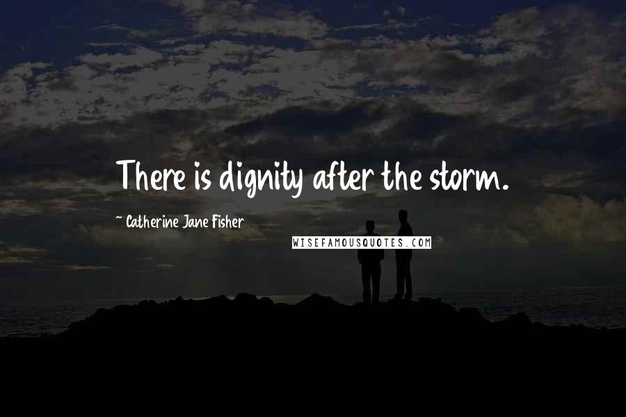 Catherine Jane Fisher Quotes: There is dignity after the storm.