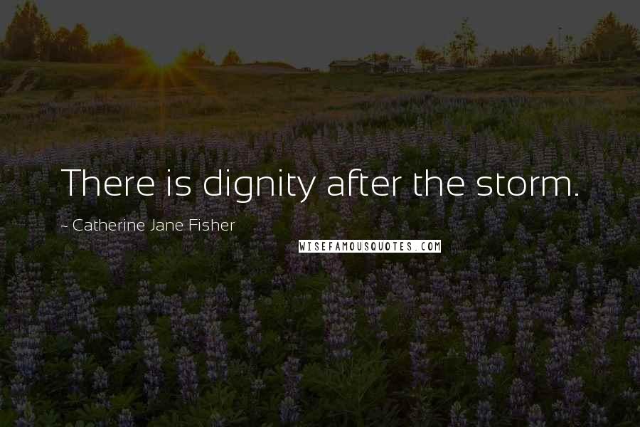 Catherine Jane Fisher Quotes: There is dignity after the storm.