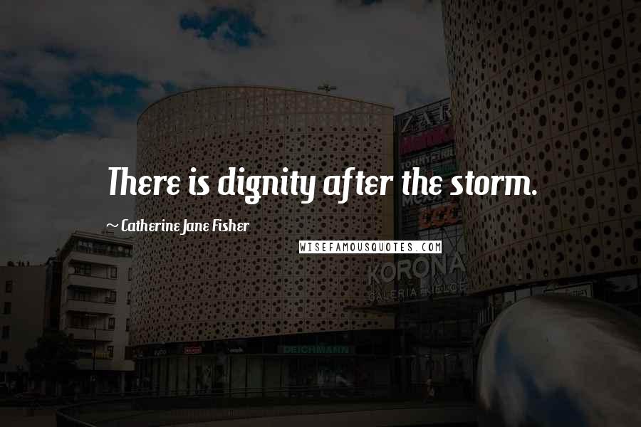 Catherine Jane Fisher Quotes: There is dignity after the storm.