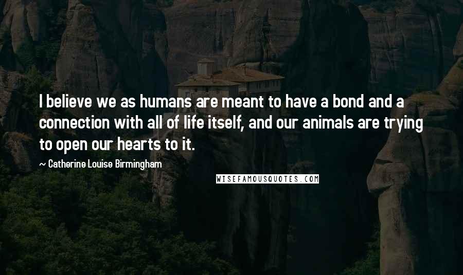 Catherine Louise Birmingham Quotes: I believe we as humans are meant to have a bond and a connection with all of life itself, and our animals are trying to open our hearts to it.
