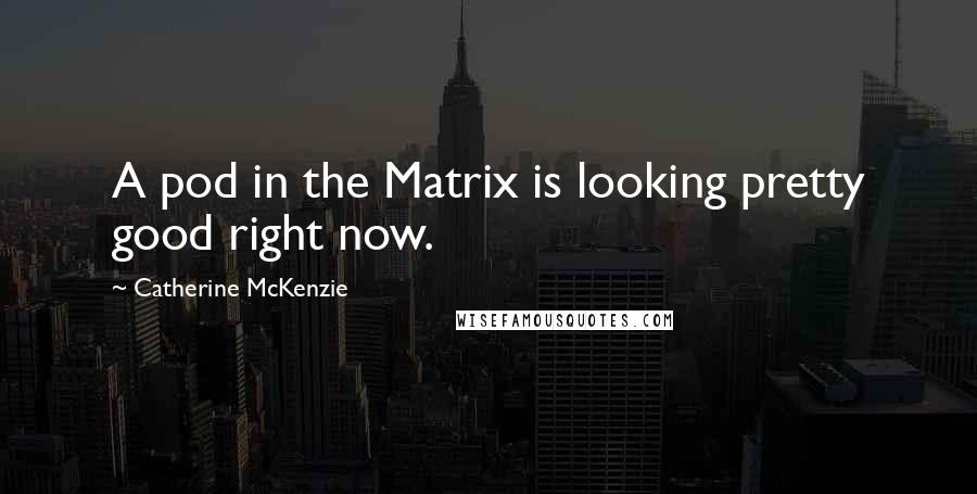 Catherine McKenzie Quotes: A pod in the Matrix is looking pretty good right now.