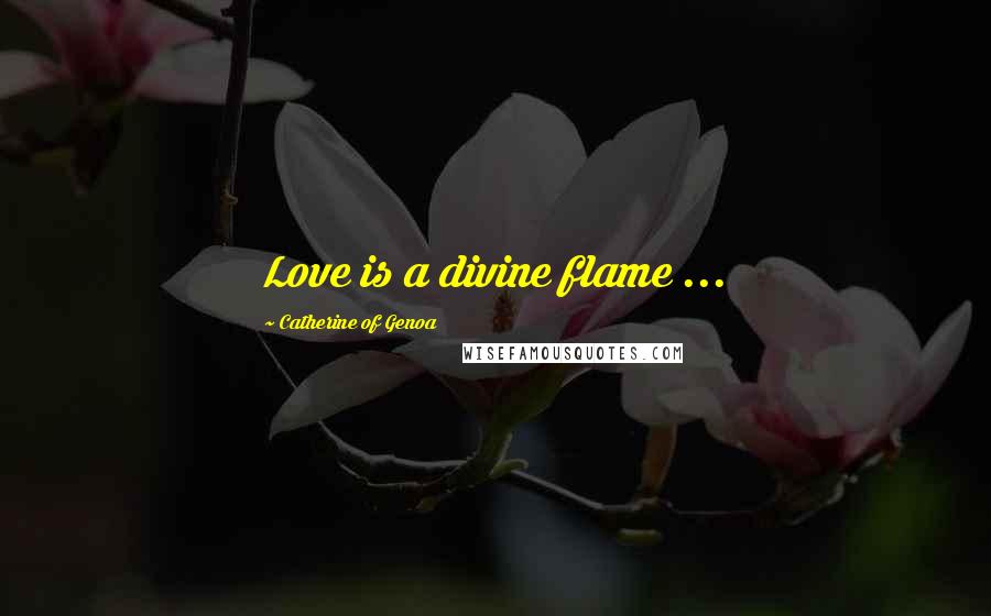 Catherine Of Genoa Quotes: Love is a divine flame ...