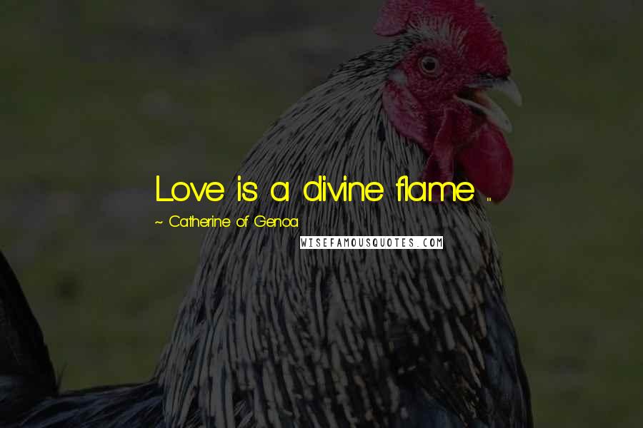 Catherine Of Genoa Quotes: Love is a divine flame ...