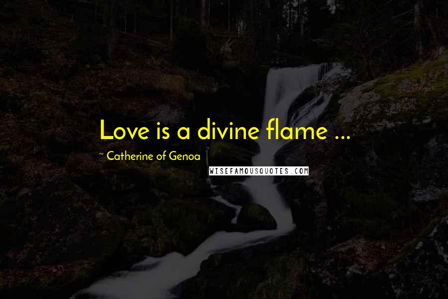 Catherine Of Genoa Quotes: Love is a divine flame ...
