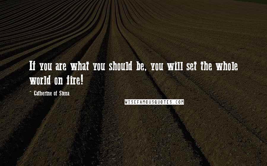 Catherine Of Siena Quotes: If you are what you should be, you will set the whole world on fire!