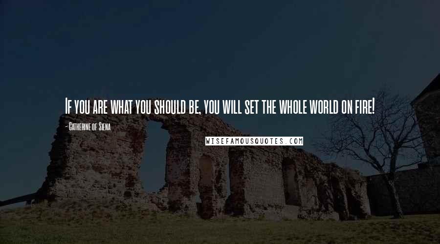 Catherine Of Siena Quotes: If you are what you should be, you will set the whole world on fire!