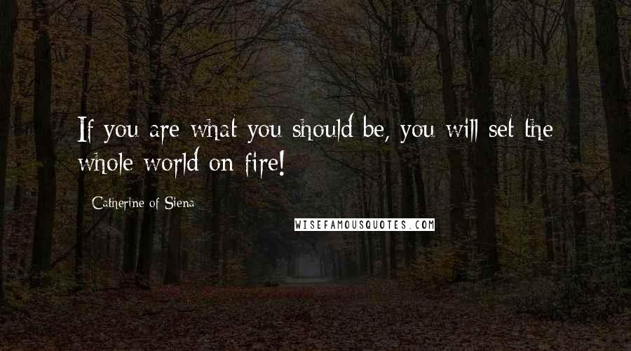 Catherine Of Siena Quotes: If you are what you should be, you will set the whole world on fire!