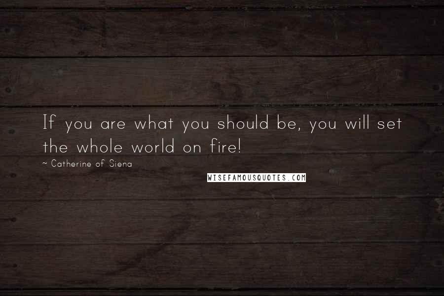 Catherine Of Siena Quotes: If you are what you should be, you will set the whole world on fire!