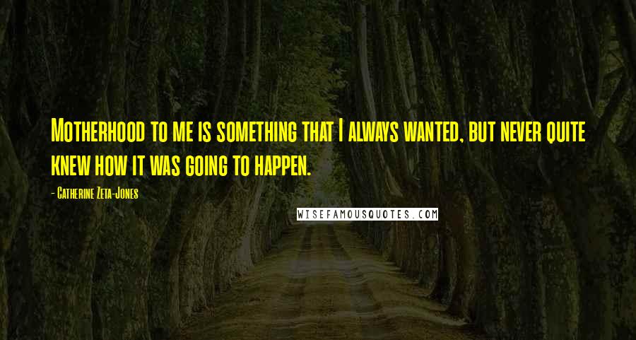 Catherine Zeta-Jones Quotes: Motherhood to me is something that I always wanted, but never quite knew how it was going to happen.