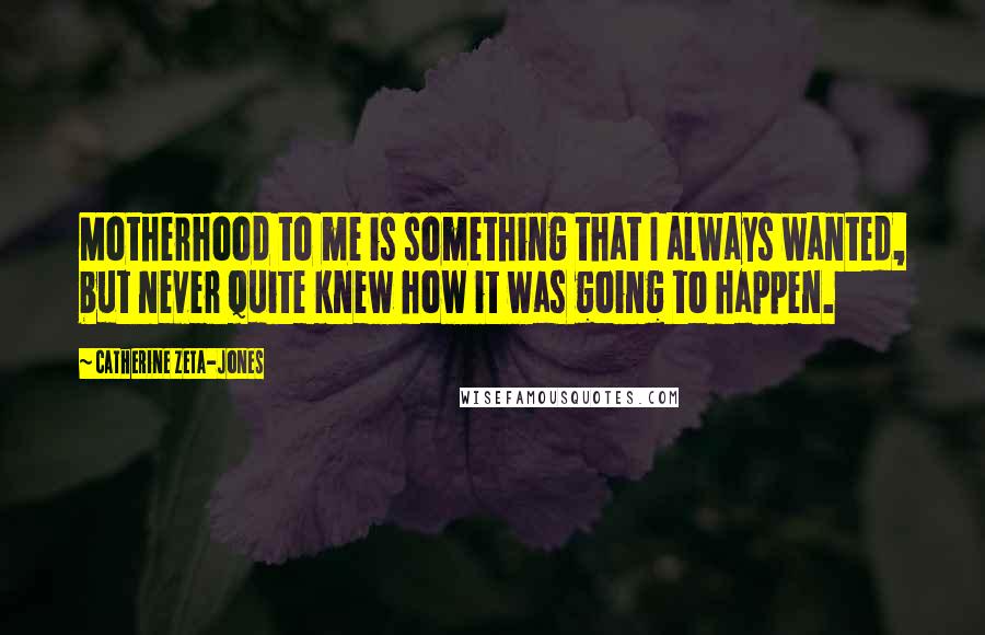 Catherine Zeta-Jones Quotes: Motherhood to me is something that I always wanted, but never quite knew how it was going to happen.