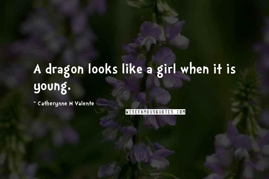 Catherynne M Valente Quotes: A dragon looks like a girl when it is young.