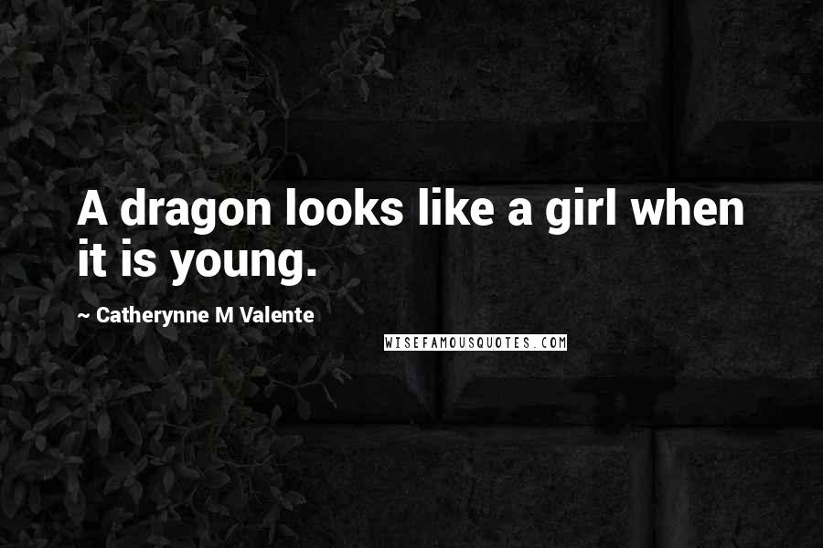 Catherynne M Valente Quotes: A dragon looks like a girl when it is young.