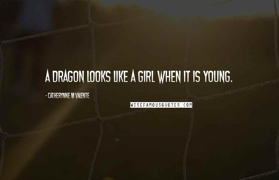 Catherynne M Valente Quotes: A dragon looks like a girl when it is young.