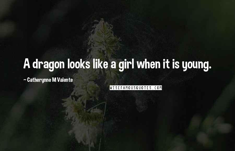 Catherynne M Valente Quotes: A dragon looks like a girl when it is young.
