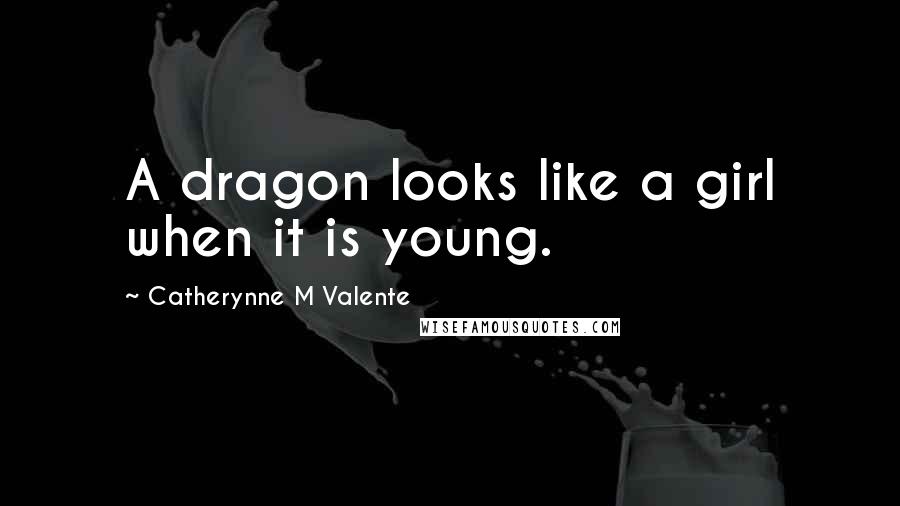 Catherynne M Valente Quotes: A dragon looks like a girl when it is young.