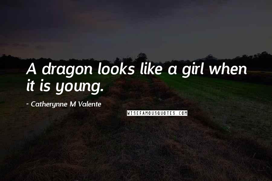 Catherynne M Valente Quotes: A dragon looks like a girl when it is young.