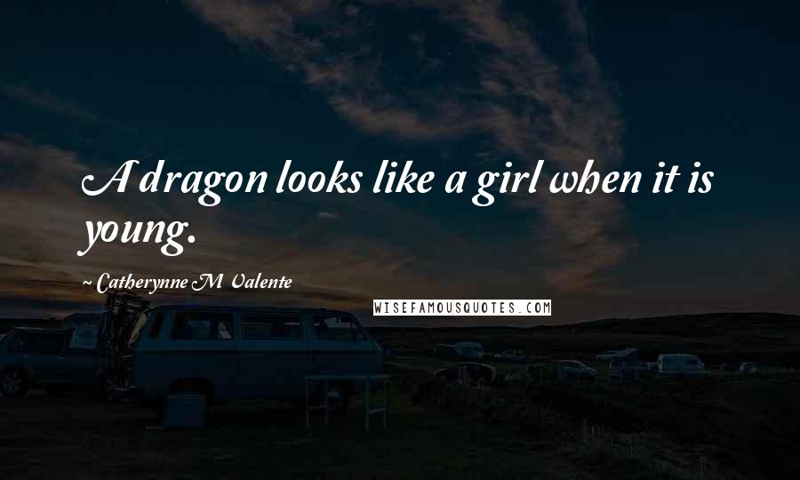 Catherynne M Valente Quotes: A dragon looks like a girl when it is young.