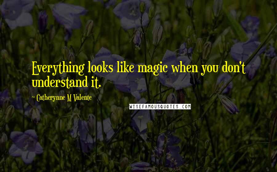 Catherynne M Valente Quotes: Everything looks like magic when you don't understand it.