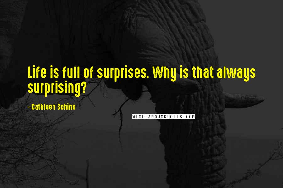 Cathleen Schine Quotes: Life is full of surprises. Why is that always surprising?