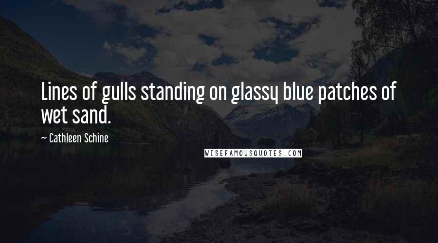 Cathleen Schine Quotes: Lines of gulls standing on glassy blue patches of wet sand.