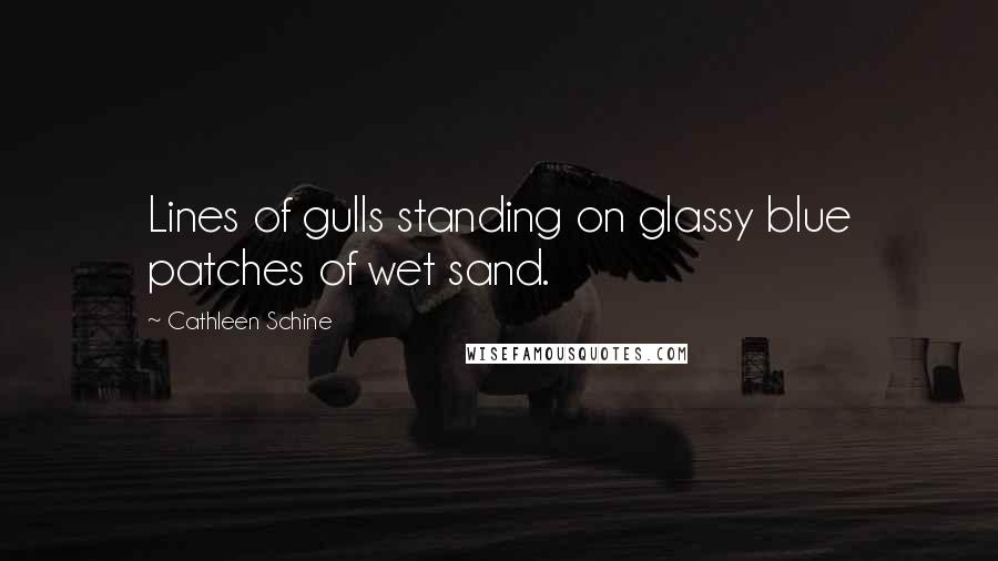 Cathleen Schine Quotes: Lines of gulls standing on glassy blue patches of wet sand.