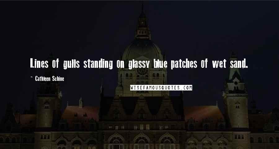 Cathleen Schine Quotes: Lines of gulls standing on glassy blue patches of wet sand.