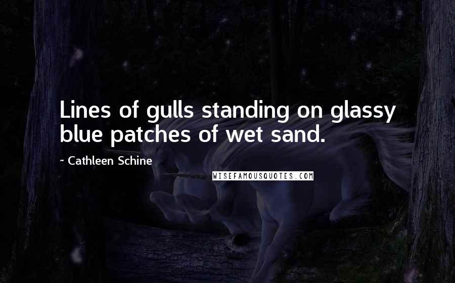 Cathleen Schine Quotes: Lines of gulls standing on glassy blue patches of wet sand.