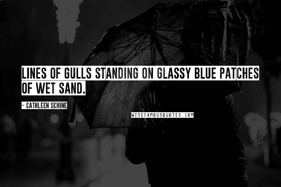 Cathleen Schine Quotes: Lines of gulls standing on glassy blue patches of wet sand.