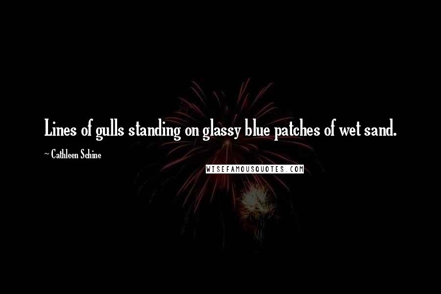 Cathleen Schine Quotes: Lines of gulls standing on glassy blue patches of wet sand.