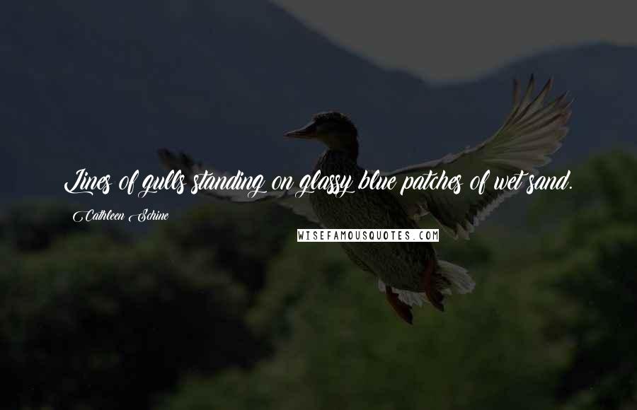 Cathleen Schine Quotes: Lines of gulls standing on glassy blue patches of wet sand.