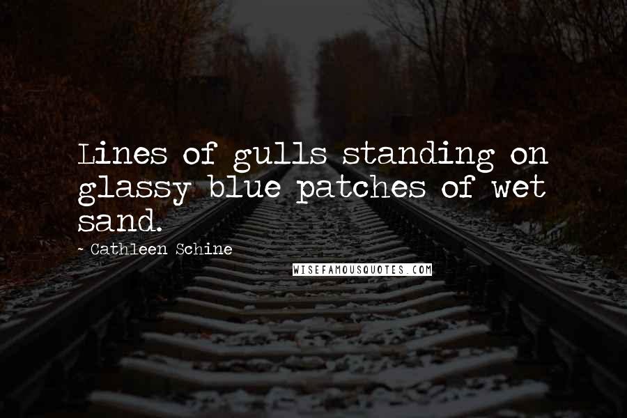 Cathleen Schine Quotes: Lines of gulls standing on glassy blue patches of wet sand.