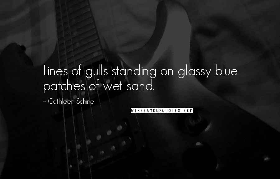 Cathleen Schine Quotes: Lines of gulls standing on glassy blue patches of wet sand.