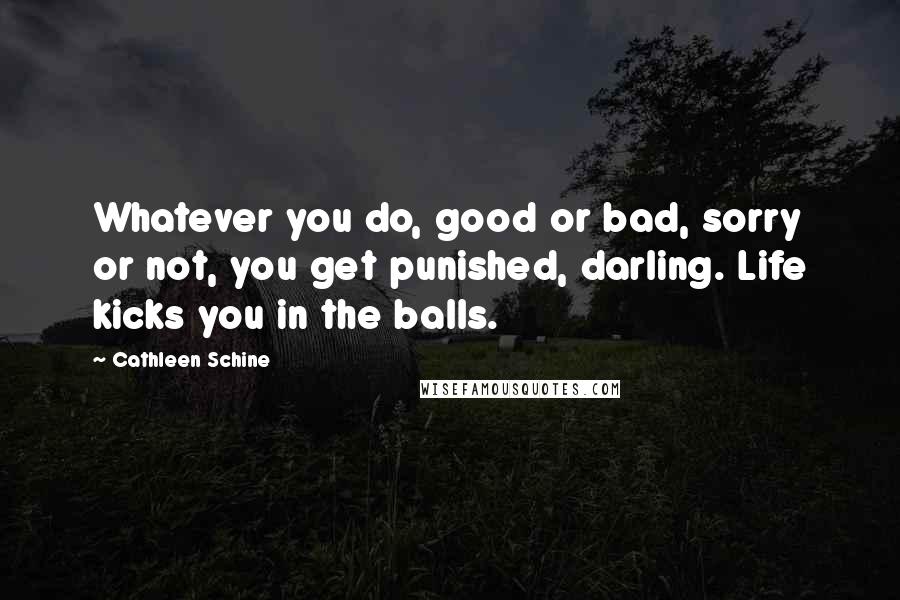 Cathleen Schine Quotes: Whatever you do, good or bad, sorry or not, you get punished, darling. Life kicks you in the balls.