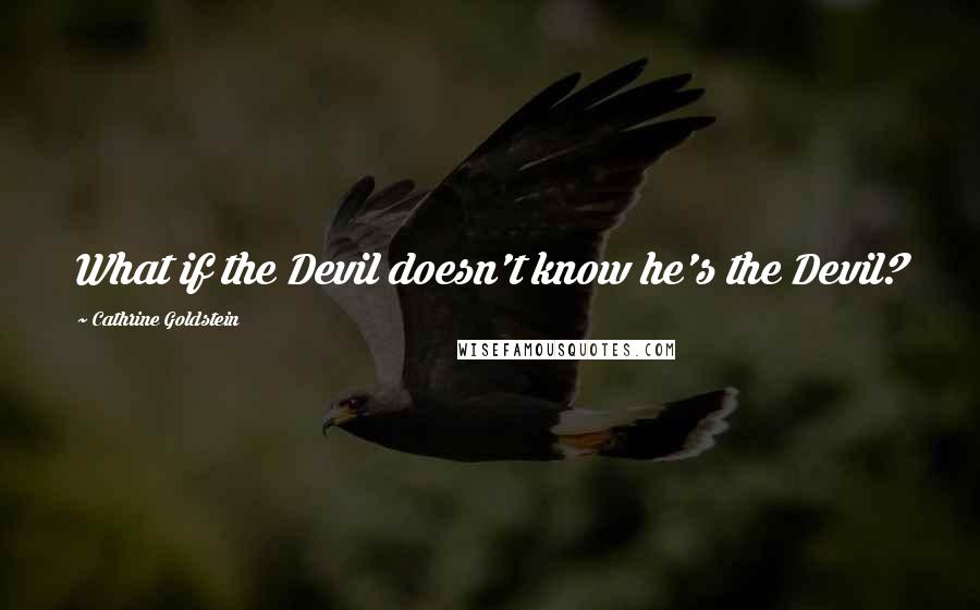 Cathrine Goldstein Quotes: What if the Devil doesn't know he's the Devil?