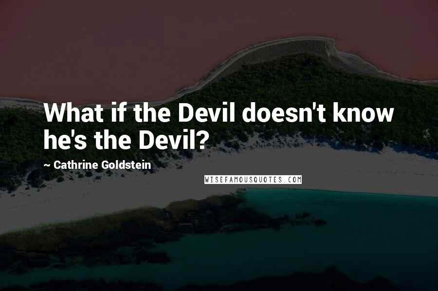 Cathrine Goldstein Quotes: What if the Devil doesn't know he's the Devil?