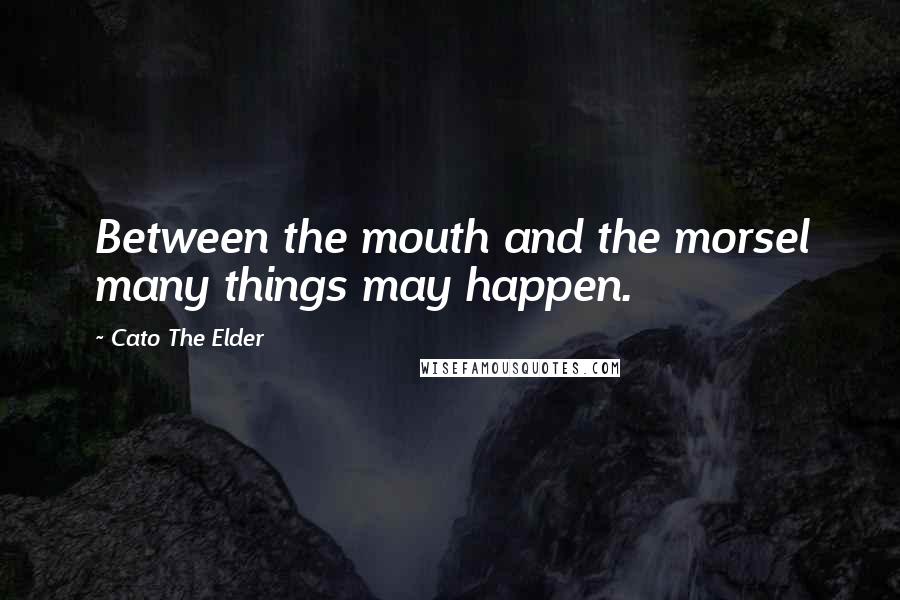 Cato The Elder Quotes: Between the mouth and the morsel many things may happen.