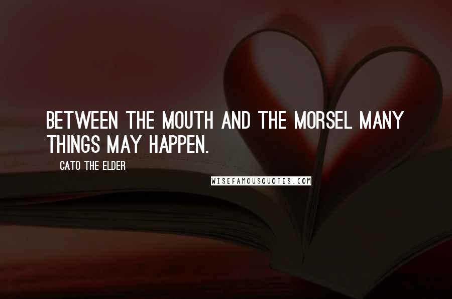 Cato The Elder Quotes: Between the mouth and the morsel many things may happen.