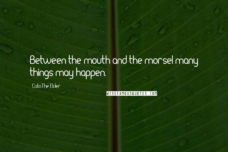 Cato The Elder Quotes: Between the mouth and the morsel many things may happen.