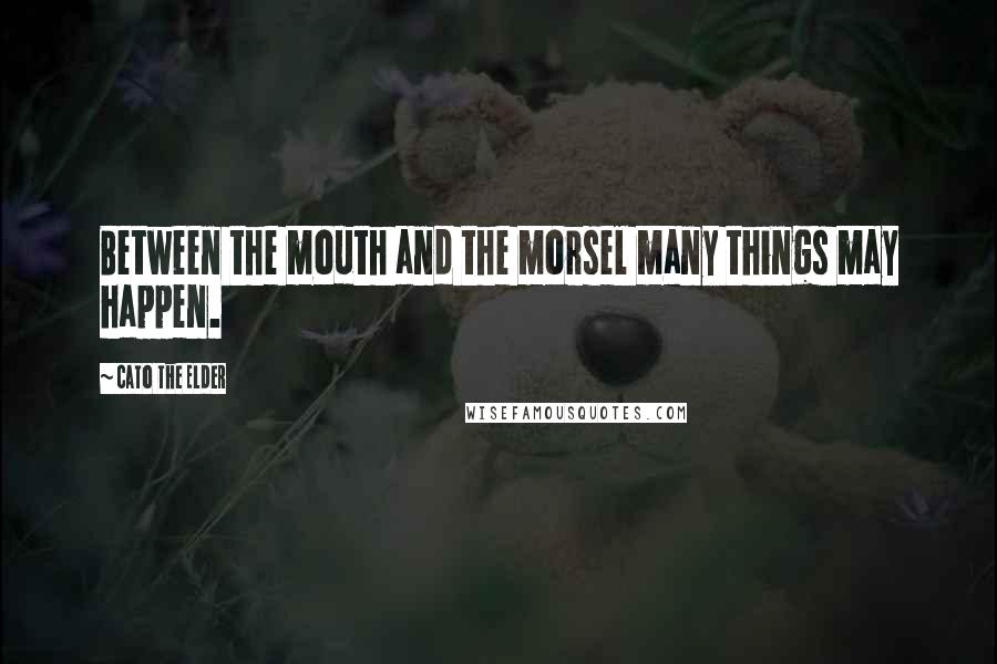Cato The Elder Quotes: Between the mouth and the morsel many things may happen.