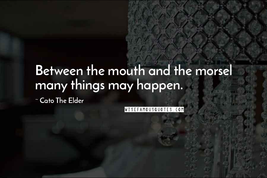 Cato The Elder Quotes: Between the mouth and the morsel many things may happen.