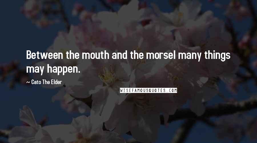 Cato The Elder Quotes: Between the mouth and the morsel many things may happen.