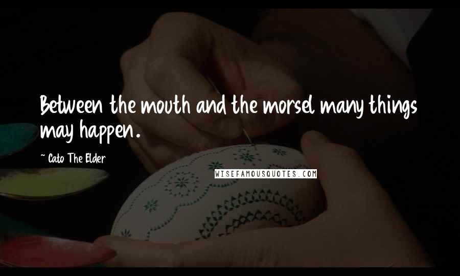 Cato The Elder Quotes: Between the mouth and the morsel many things may happen.