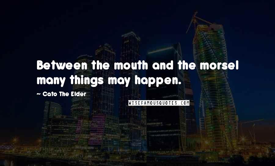 Cato The Elder Quotes: Between the mouth and the morsel many things may happen.