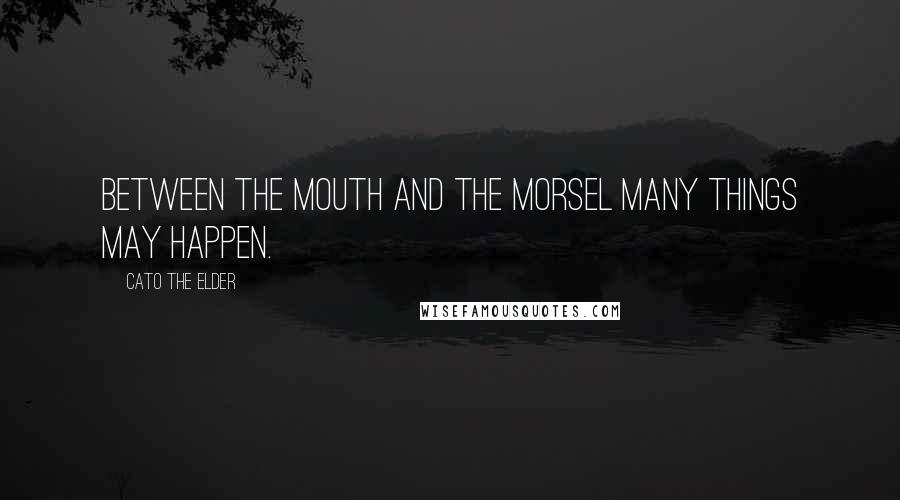 Cato The Elder Quotes: Between the mouth and the morsel many things may happen.